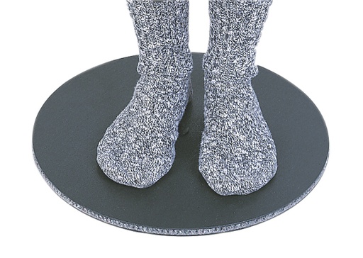 [DDHRTL6048] Transfer Disc 18"