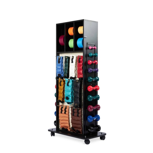 [HAU5560-100] Hausmann Multi-Purpose Combination Rack w/Accessories