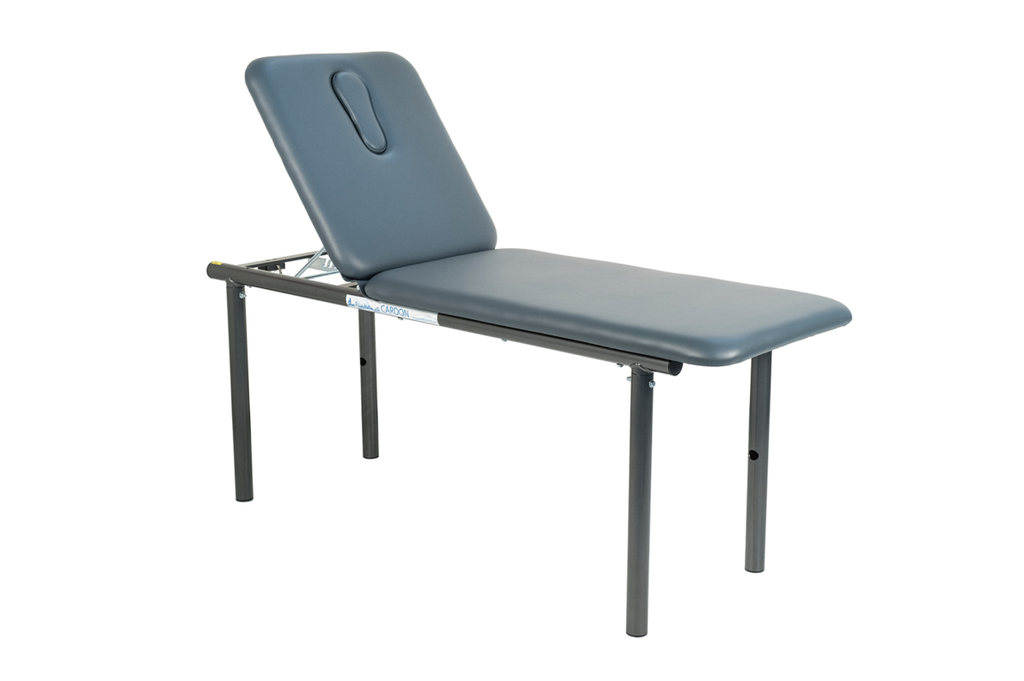Cardon Fixed Height 2-Section Treatment Table  