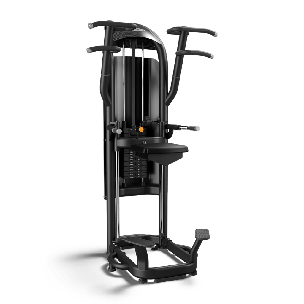 Matrix Aura Series Dip/Chin Assist