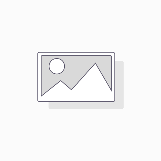 [DDHRTL10386GB] Drive Medical Walker Replacement Tip