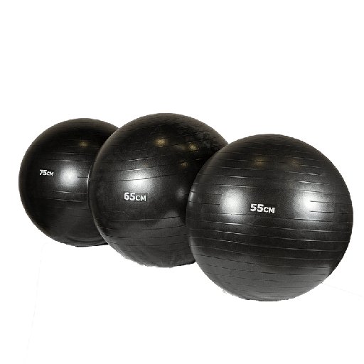 Anti-Burst Dura Ball